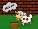Cow Feed