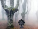 Evil Halloween Forest