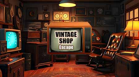 Vintage Shop