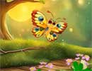 Butterfly and Friends