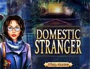 Domestic Stranger