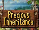 Precious Inheritance