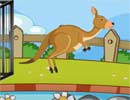 Save the Kangaroo