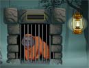 Orangutan in a Cage