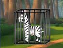Free the Zebra